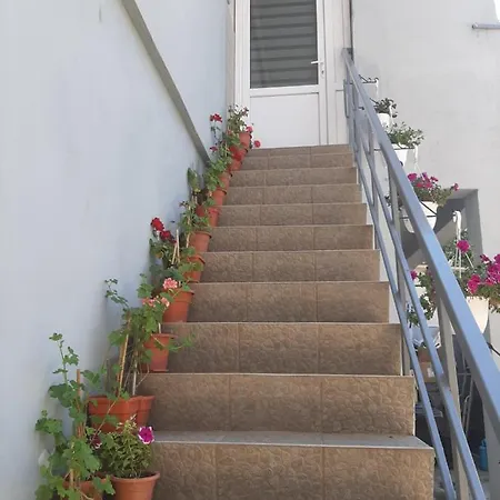 Guest house Casa Camy