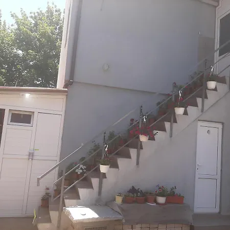 Guest house Casa Camy