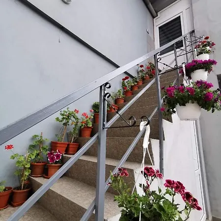 Casa Camy Eforie Nord